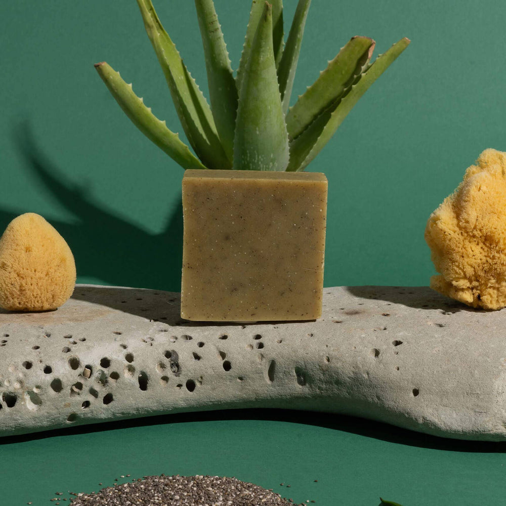 . Brand: Temazcal Life