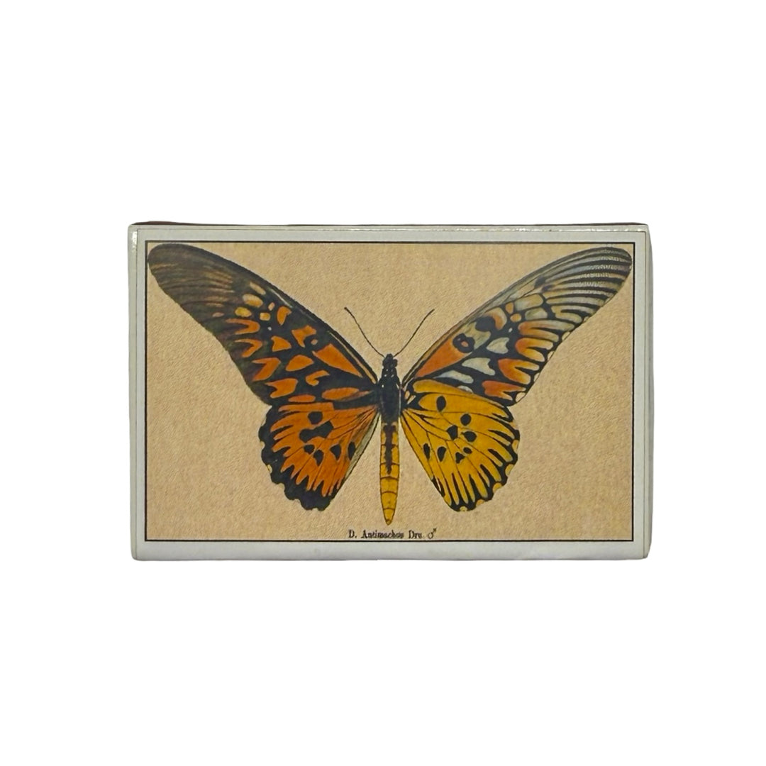 Butterfly Mini Matches