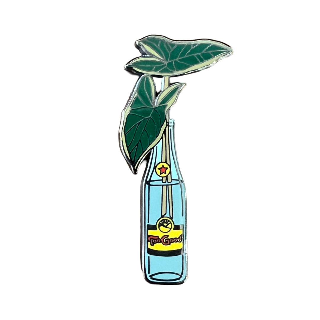 plant propagation pin in a glass bottle and the phrase Too Good.
