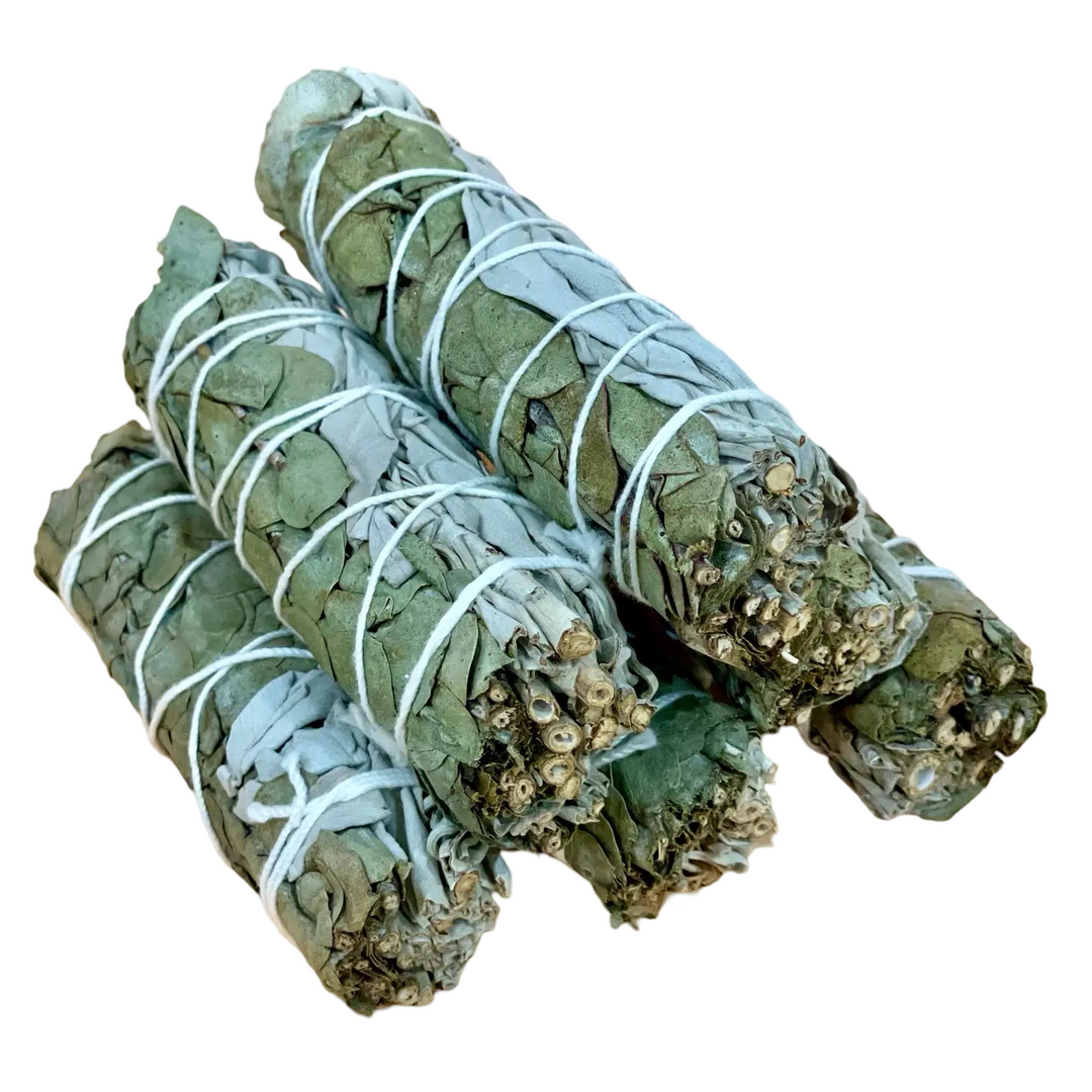 5 bundles of white sage and eucalyptus tied with white twine