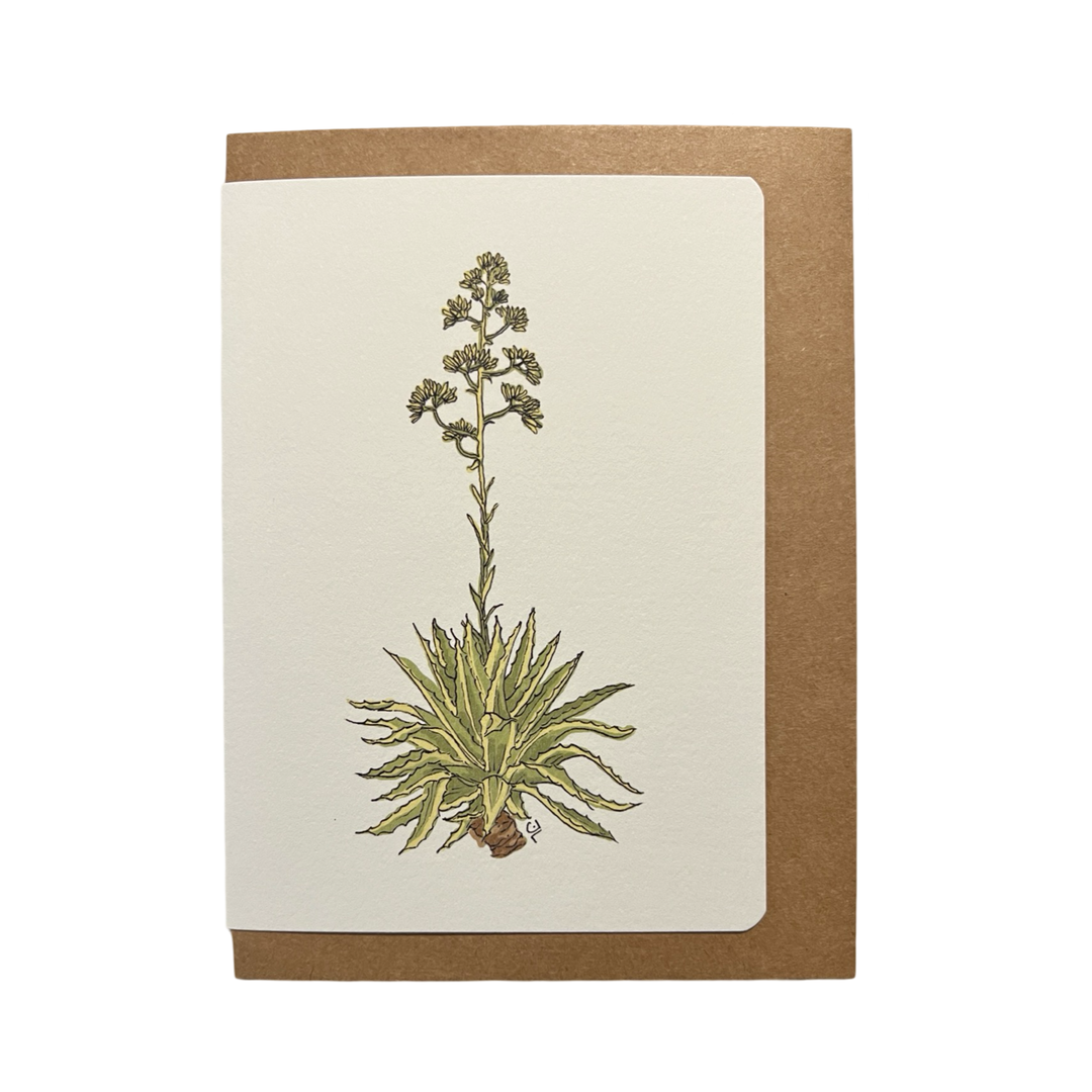 An artistic illustration of an agave plant in bloom, with its tall flowering stalk extending upwards, printed on a card with a natural brown envelope