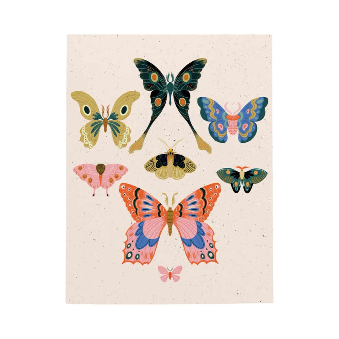A greeting card featuring a stunning collection of colorful butterflies and moths in intricate patterns and vibrant hues. The background is a soft speckled cream, creating a whimsical and elegant design