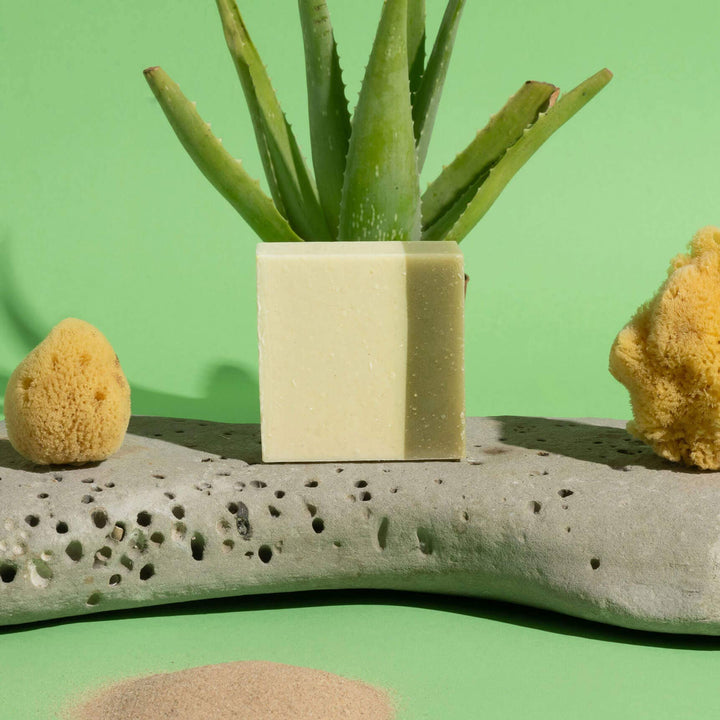 . Brand: Temazcal Life