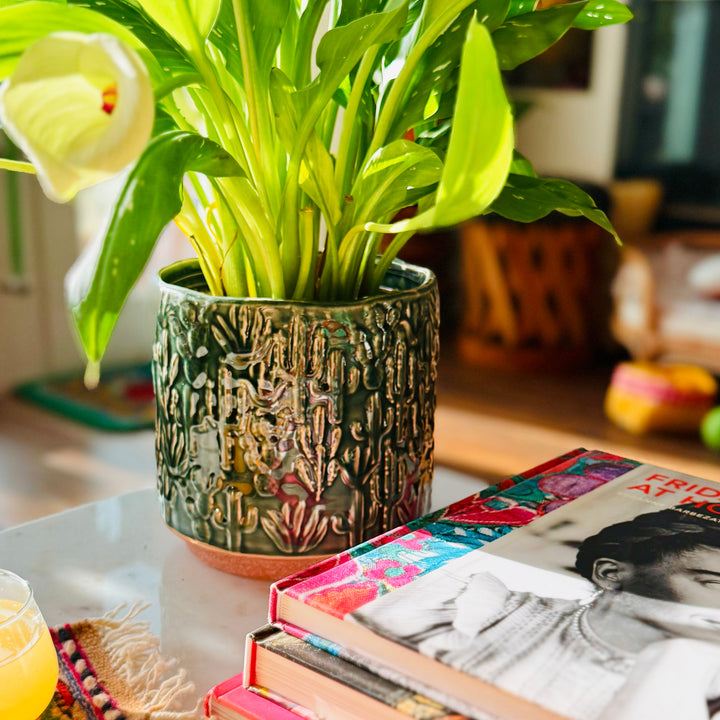 Photo of green ceramic pot embossed with various types of cacti