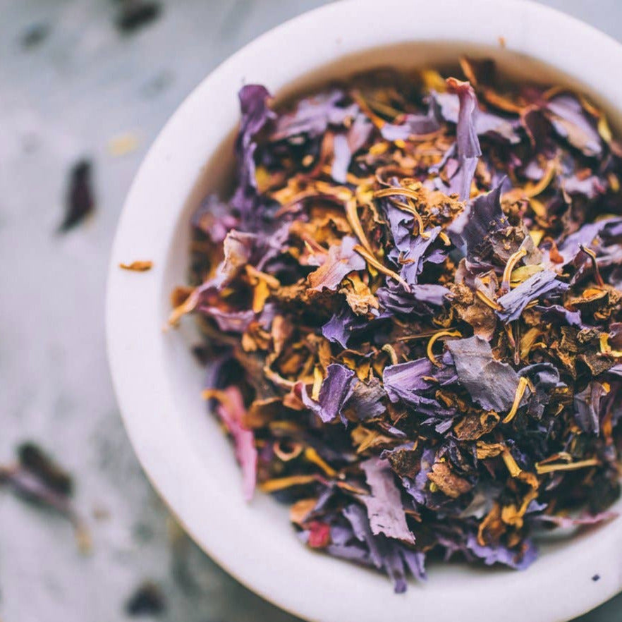 close up view of dried blue lotus flowers in a white bowl. Brand: Anima Mundi Apothecary