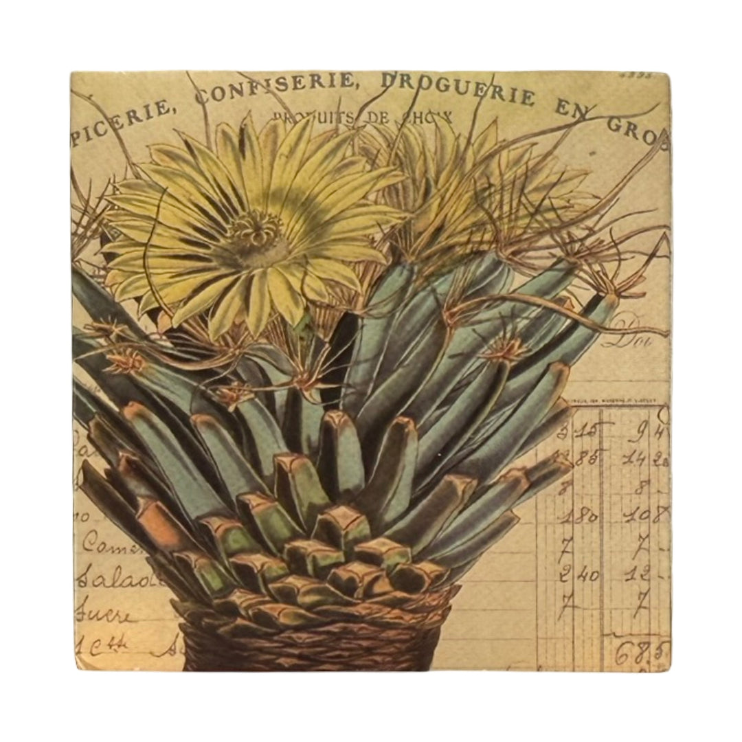 Square ivory matchbox features a close-up of a cactus in the center topped with several yellow blooming flowers. The background of each matchbox features decorative antique french script and text. 