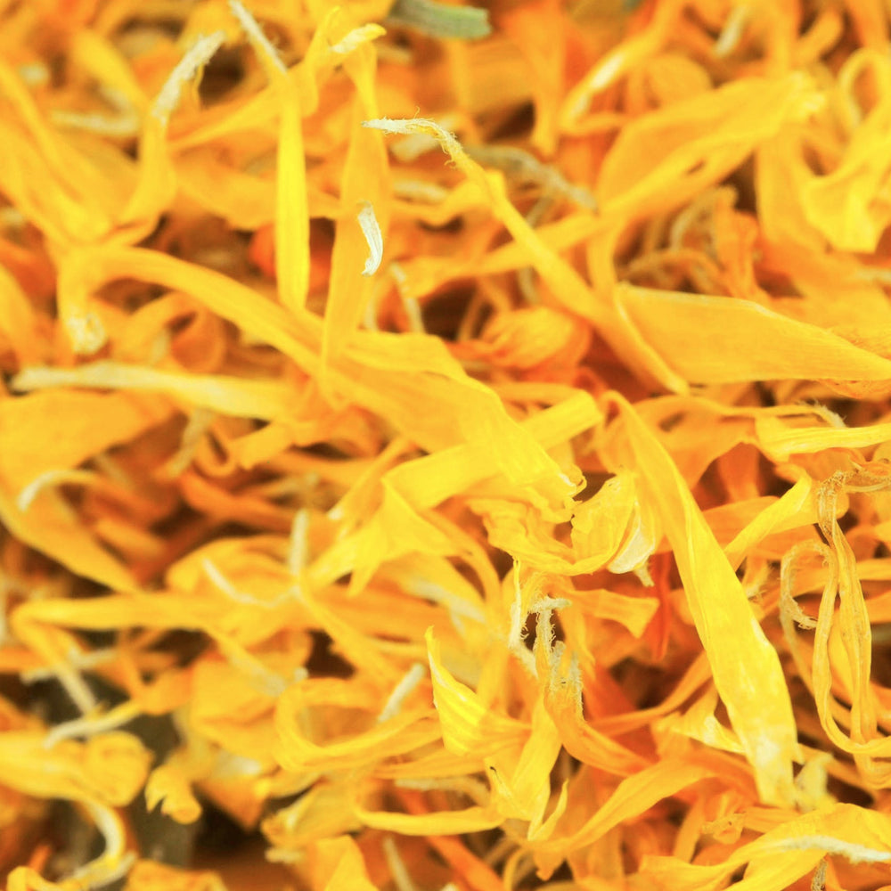 close up view of dried calendula petals. Brand: Loveyenergy & Blessings