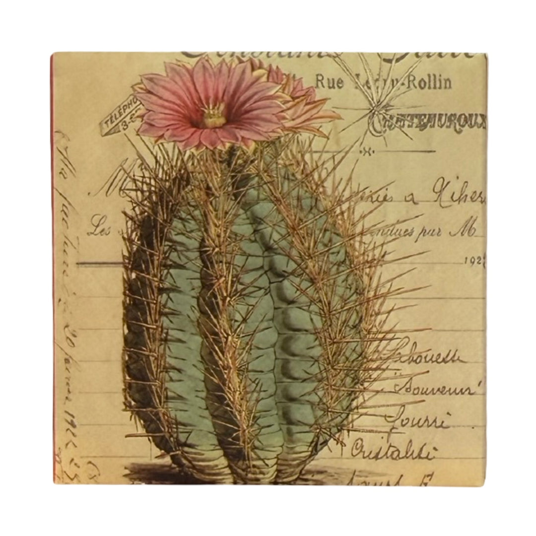 Square ivory matchbox features a close-up of a round cactus in the center topped with several pink blooming flowers. The background of each matchbox features decorative antique french script and text. 