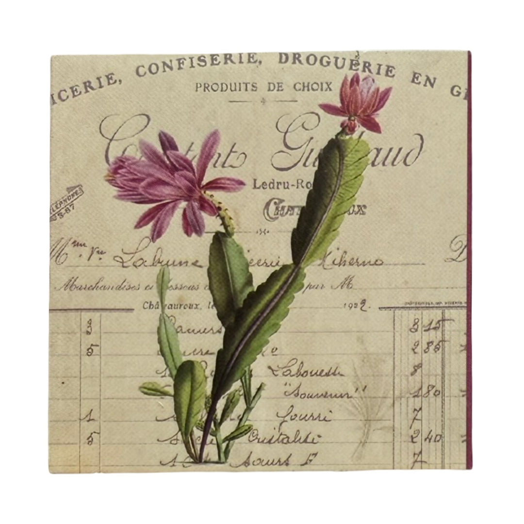 Square ivory matchbox features a close-up of a cactus in the center topped with several pink blooming flowers. The background of each matchbox features decorative antique french script and text. 