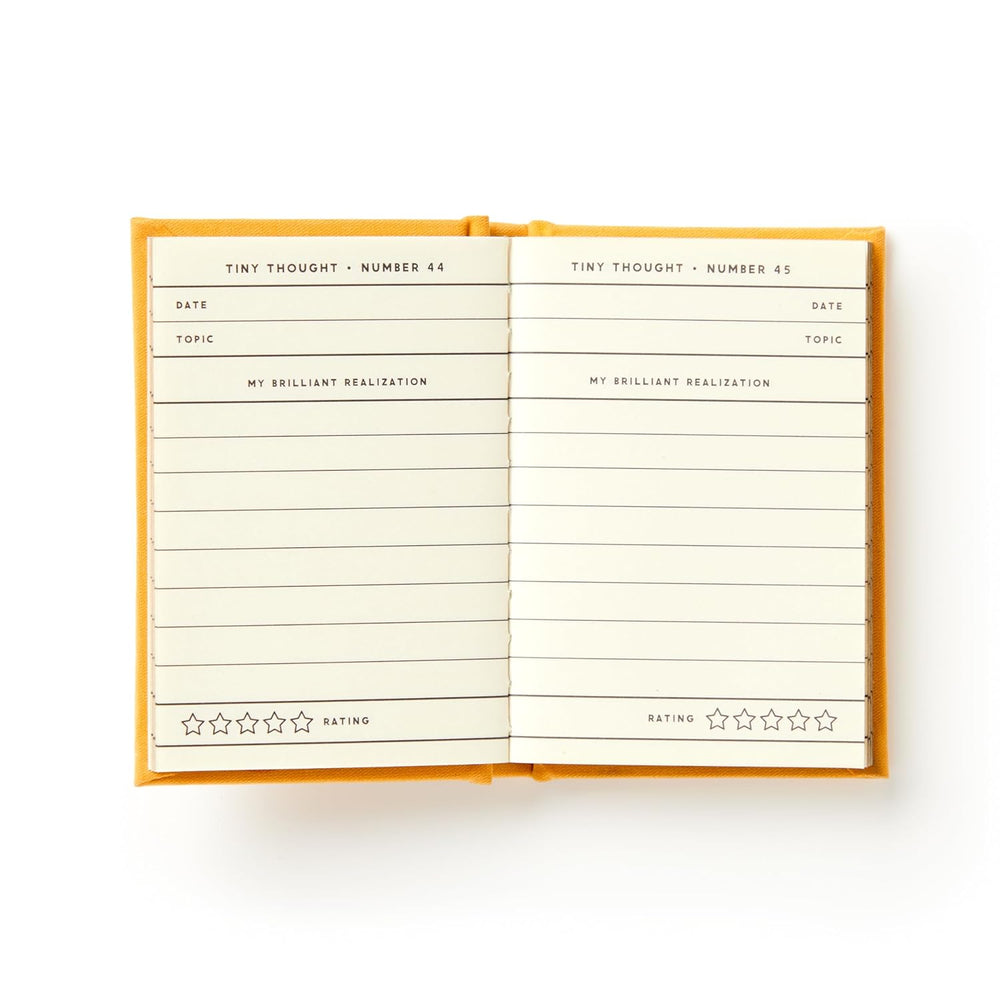 The interior pages of A Tiny Diary for Tiny Thoughts showing numbered entry spreads with fields for date, topic, my brilliant realization, and a five star rating system.