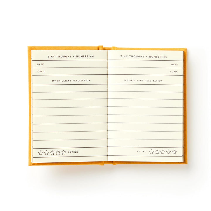 The interior pages of A Tiny Diary for Tiny Thoughts showing numbered entry spreads with fields for date, topic, my brilliant realization, and a five star rating system.