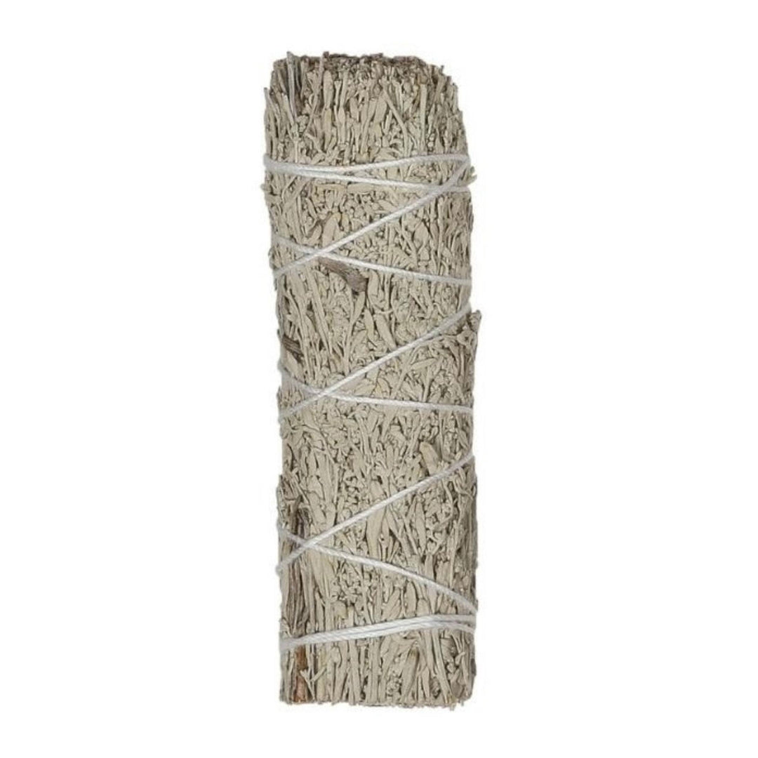 single bundle of blue sage wrapped and tied with a thin white string