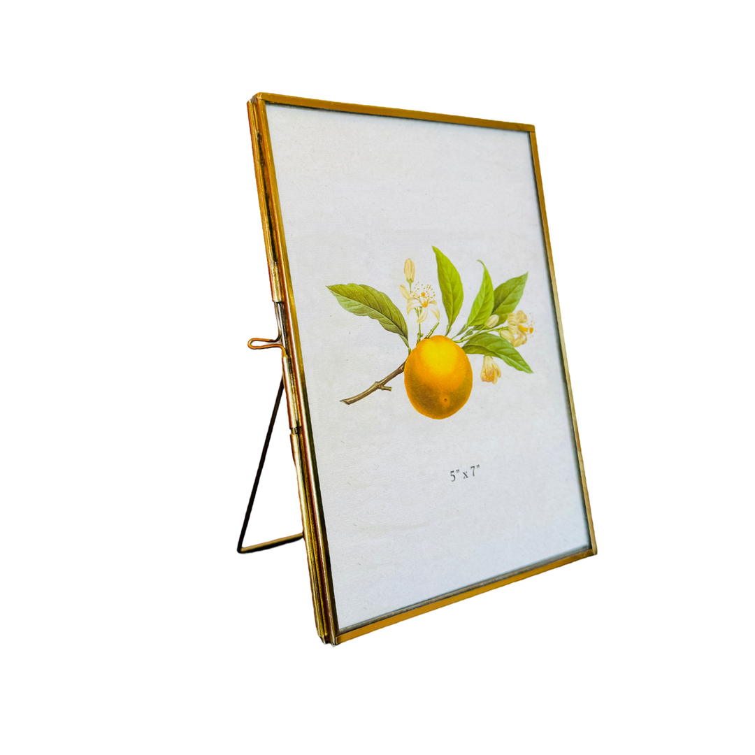 Brass tabletop photo frame with easel back displaying a botanical lemon illustration.