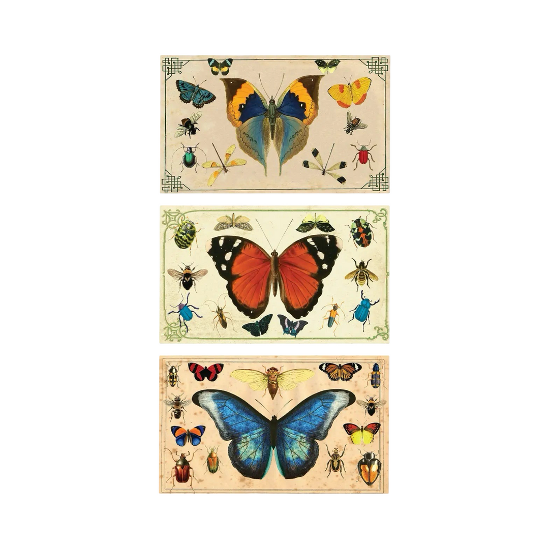 3 ivory matchbooks each featuring large colorful butteryflies in the center surrounded by various other insects.