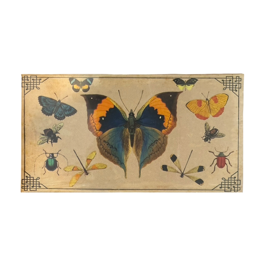  Ivory matchbook featuring large blue and yellow butteryfly in the center surrounded by various other insects.