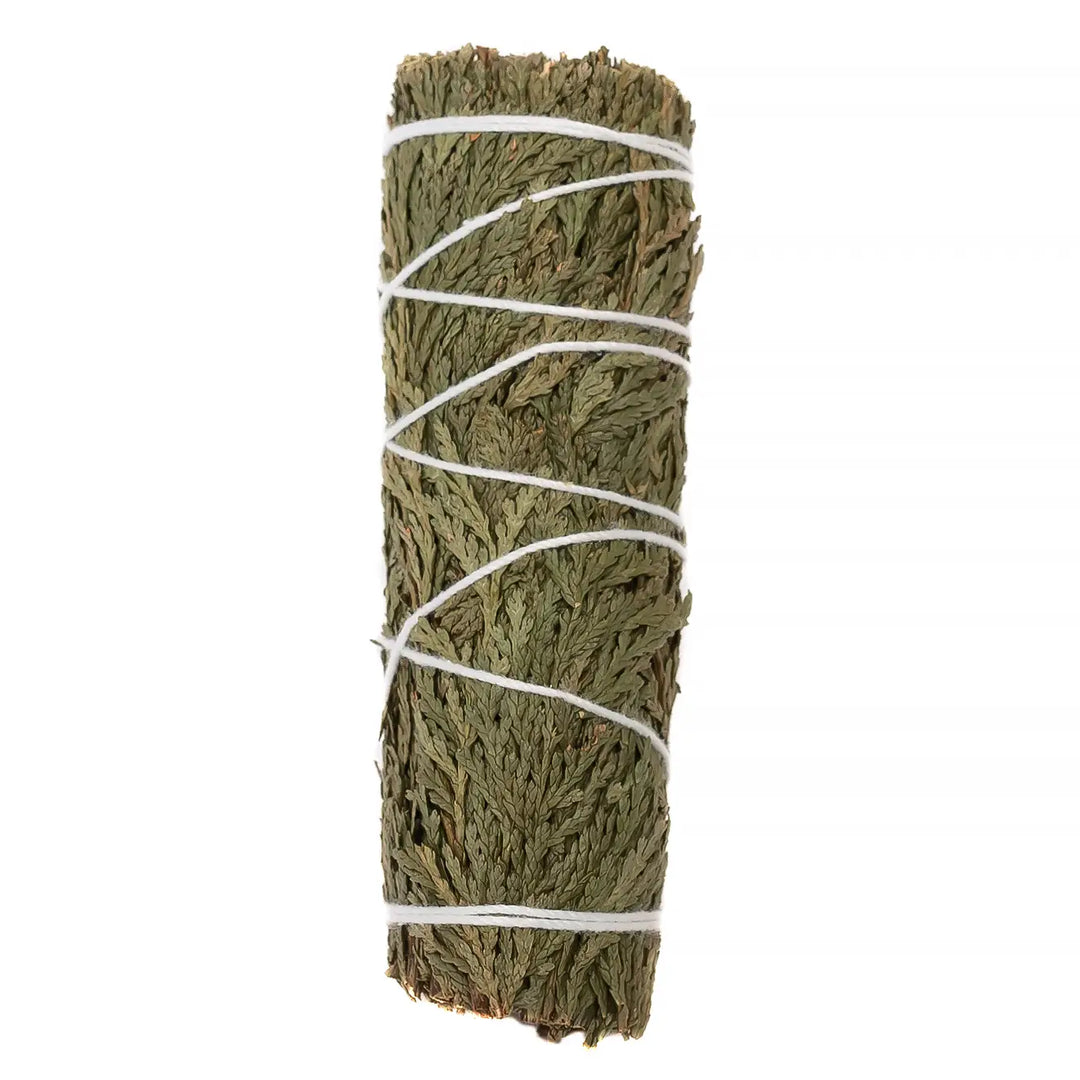 Cedar herb bundle wrapped with white twine.