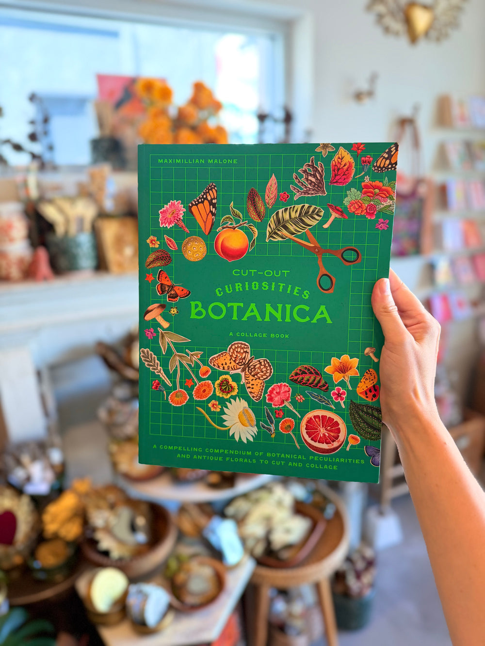 A hand holds a green book titled "Cut-Out Curiosities: Botanica" inside of Casa Palma Dulce. The book cover is decorated with colorful illustrations of butterflies, flowers, leaves, and scissors.