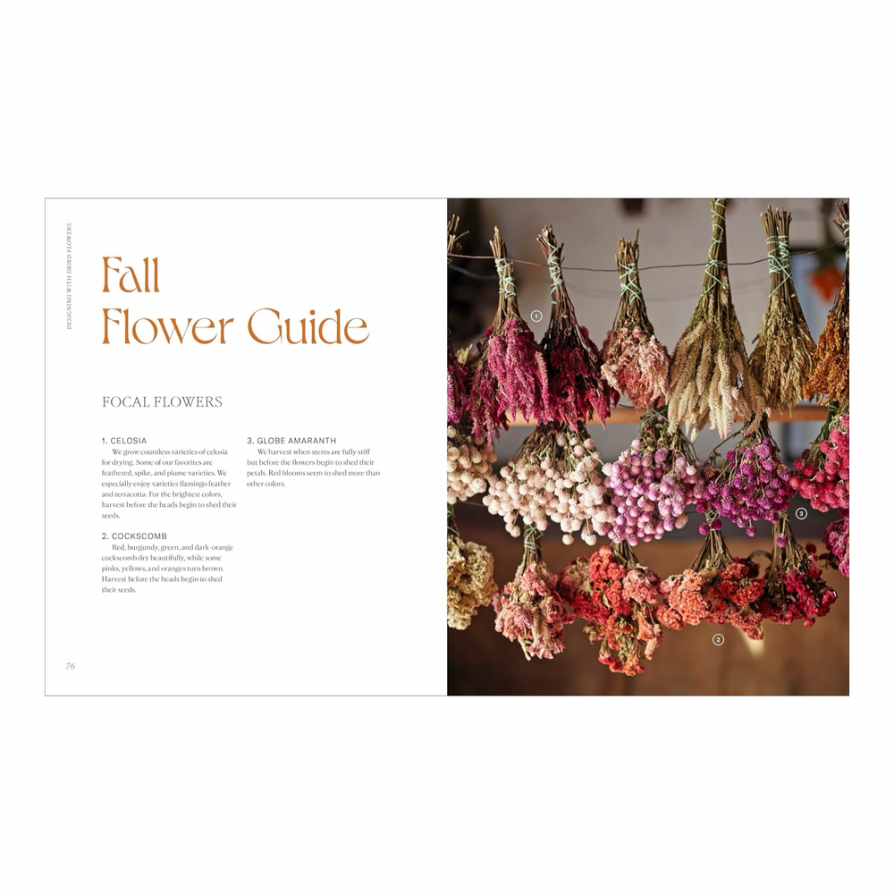 Fall Flower Guide spread from Designing with Dried Flowers book, showing bundles of dried celosia, cockscomb, and globe amaranth hanging to dry.