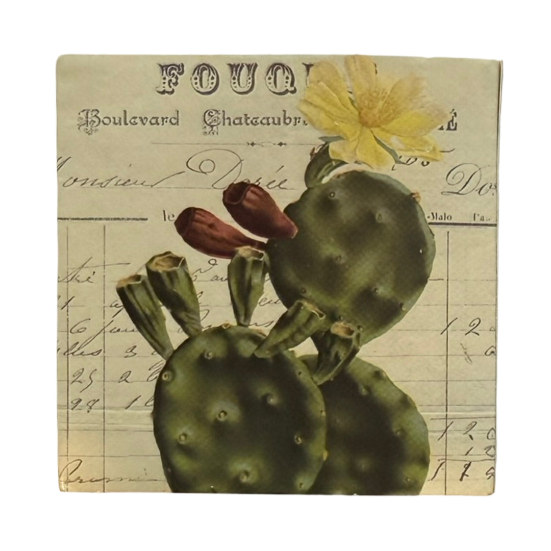 Square ivory matchbox features a close-up of a cactus in the center topped with a yellow blooming flower. The background of each matchbox features decorative antique french script and text. 