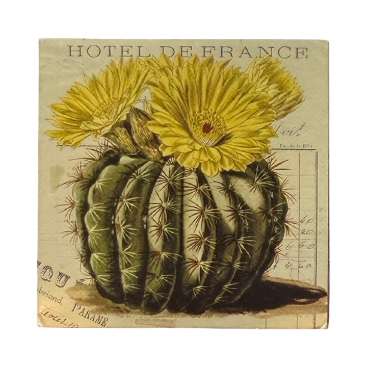 Square ivory matchbox features a close-up of a round cactus in the center topped with several yellow blooming flowers. The background of each matchbox features decorative antique french script and text. 