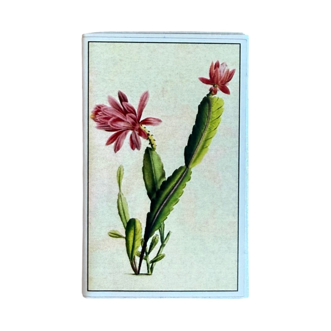 match box with an image of a cactus with pink flowers.