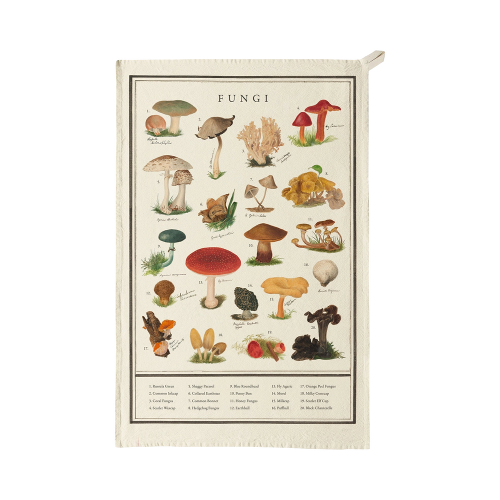 Tea towel featuring a vintage-style botanical chart of illustrated mushrooms labeled with the title “Fungi.”