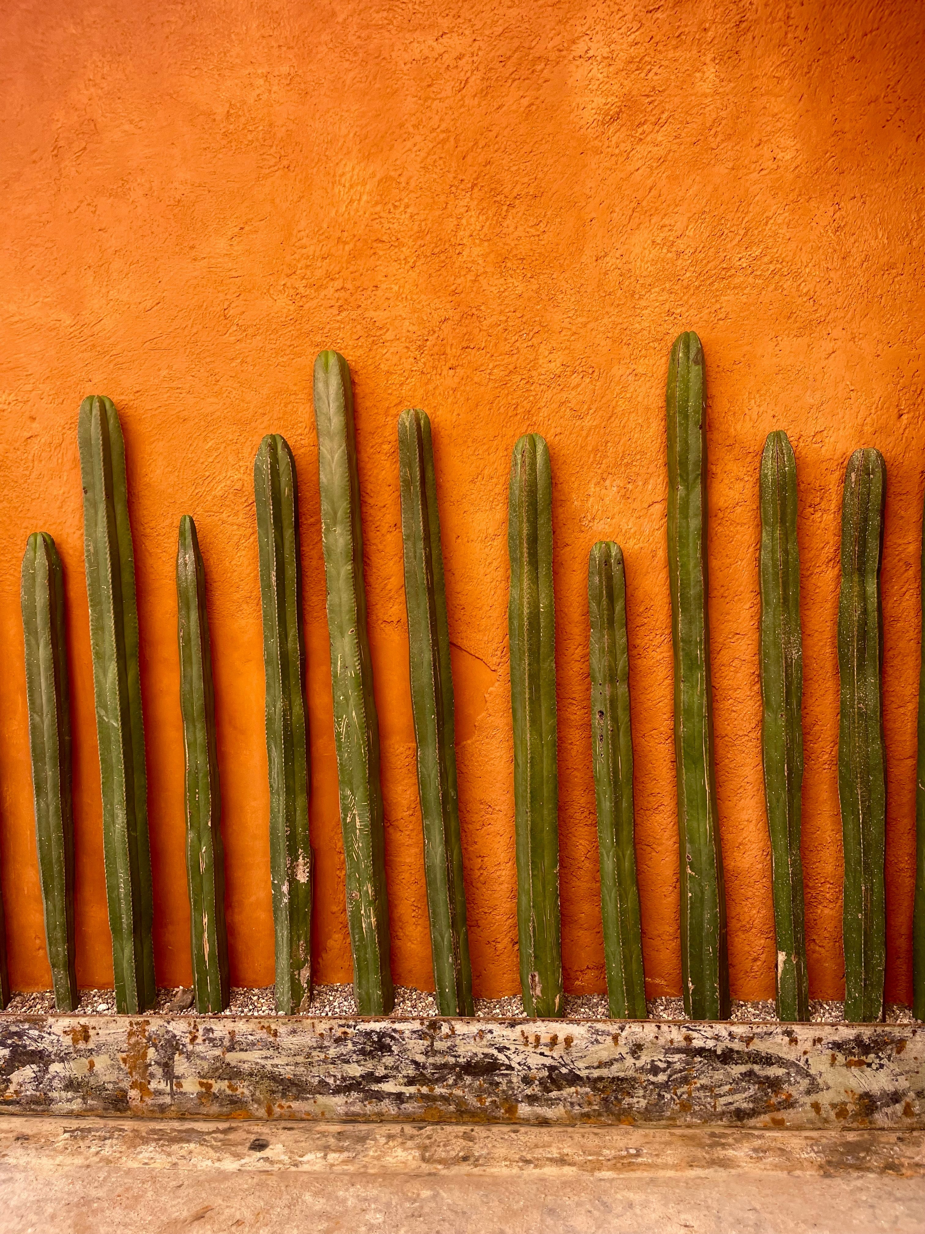 Hecho En Mexico 