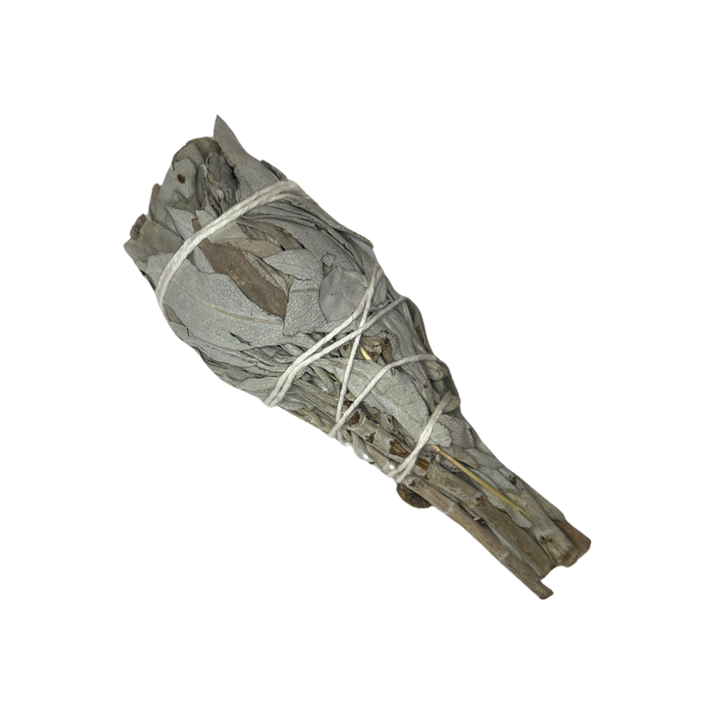 A bundle of white sage wrapped in white twine