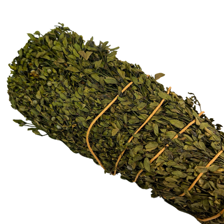 close up view of a single bundle of creosote bush tied with yellow twine