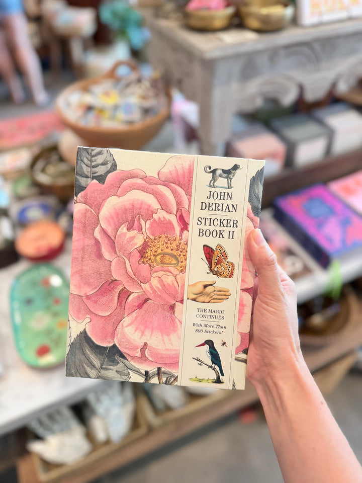 an image of someone holding up the John Derian Sticker Book II with a pink rose illustration and a spine strip of dog, butterfly, hand, and bird images.