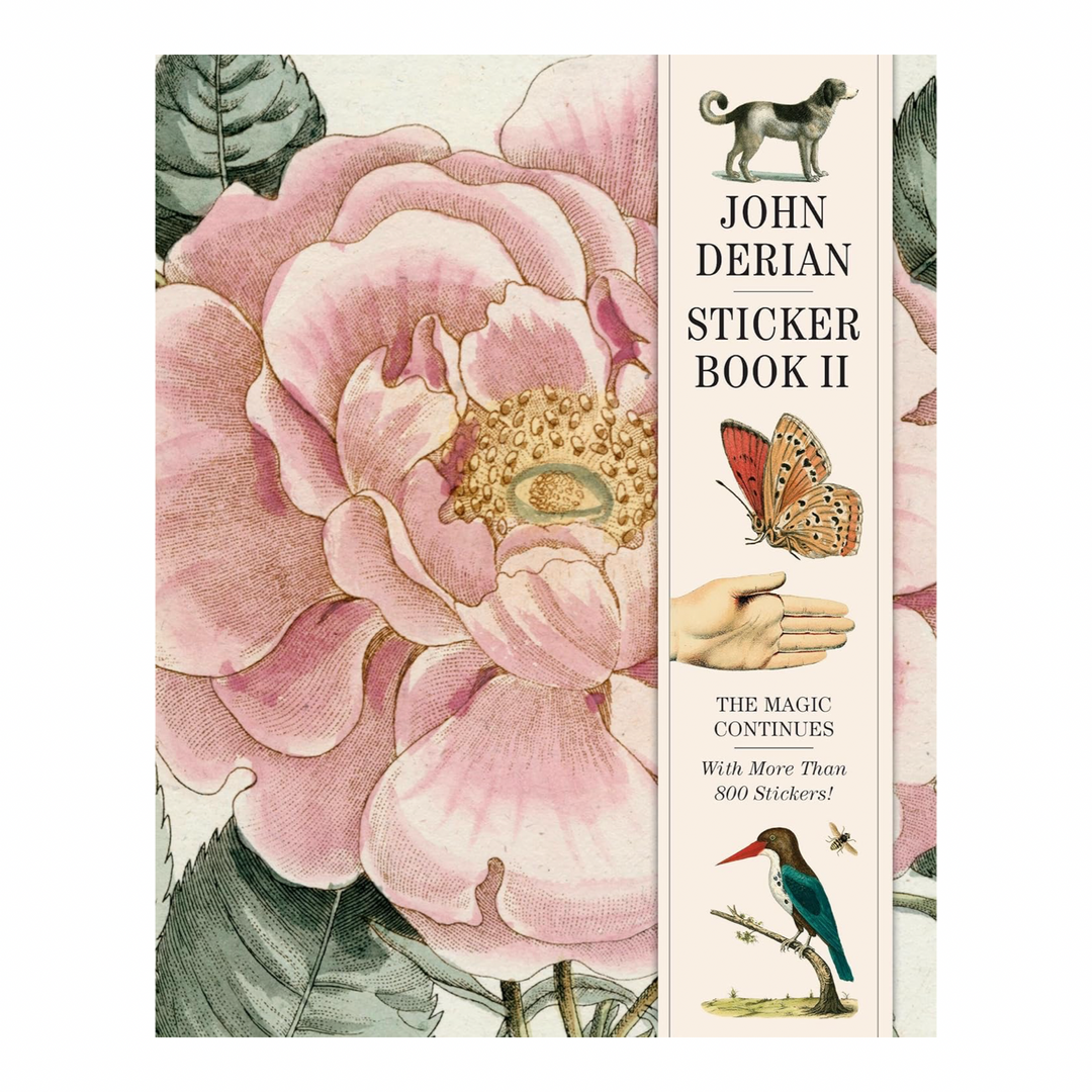 John Derian Sticker Book II cover with a pink rose illustration and a spine strip of dog, butterfly, hand, and bird images.