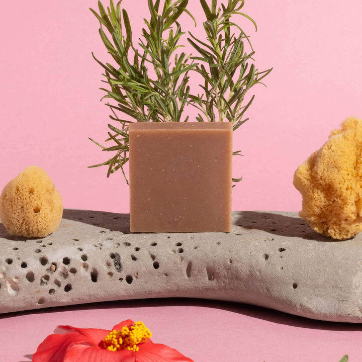 . Brand: Temazcal Life