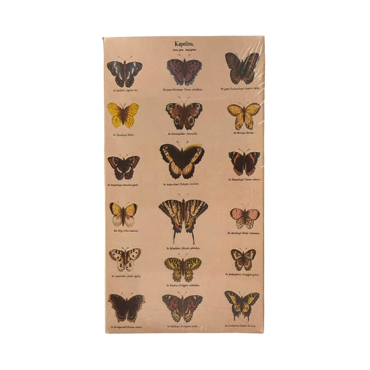 Dark ivory matchbox cover with assorted colorful butterfly illustrations.