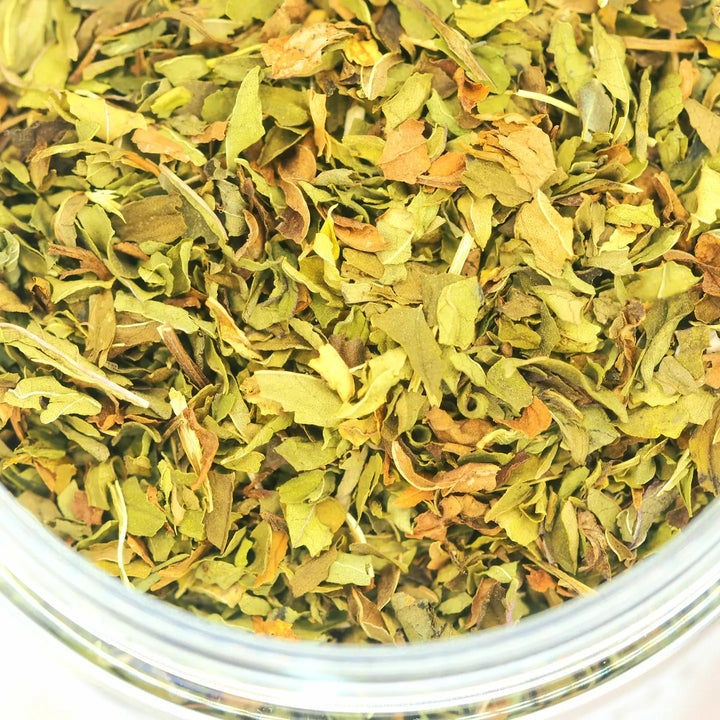 Close-up of dried green herbs in a glass container