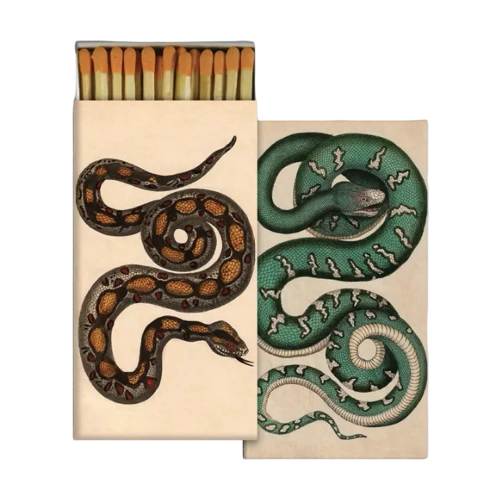 A decorative matchbox featuring vintage botanical illustrations of two coiled snakes, one dark with orange markings and one teal with white markings, shown open with gold tipped matches inside.