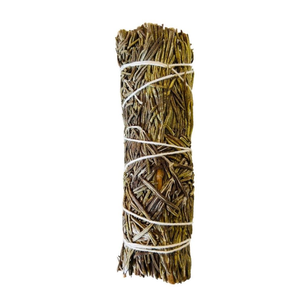 Single bundle of dried rosemary tied with white twine.