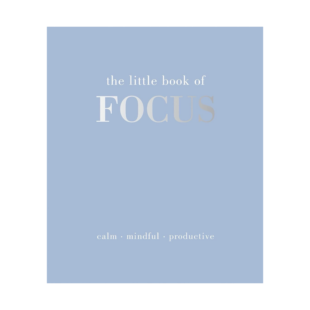 Book titles "The Little Book of Focus" featuring a light blue cover and silver lettering.