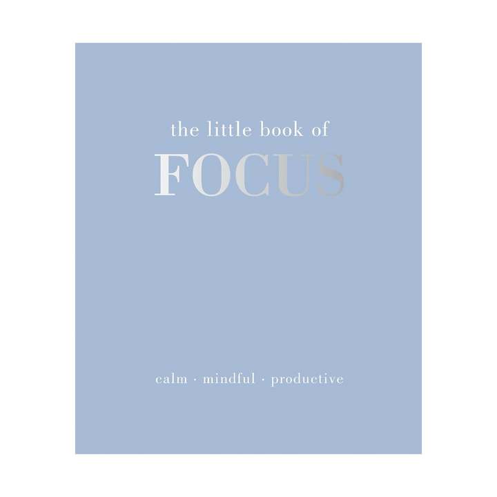 Book titles "The Little Book of Focus" featuring a light blue cover and silver lettering.