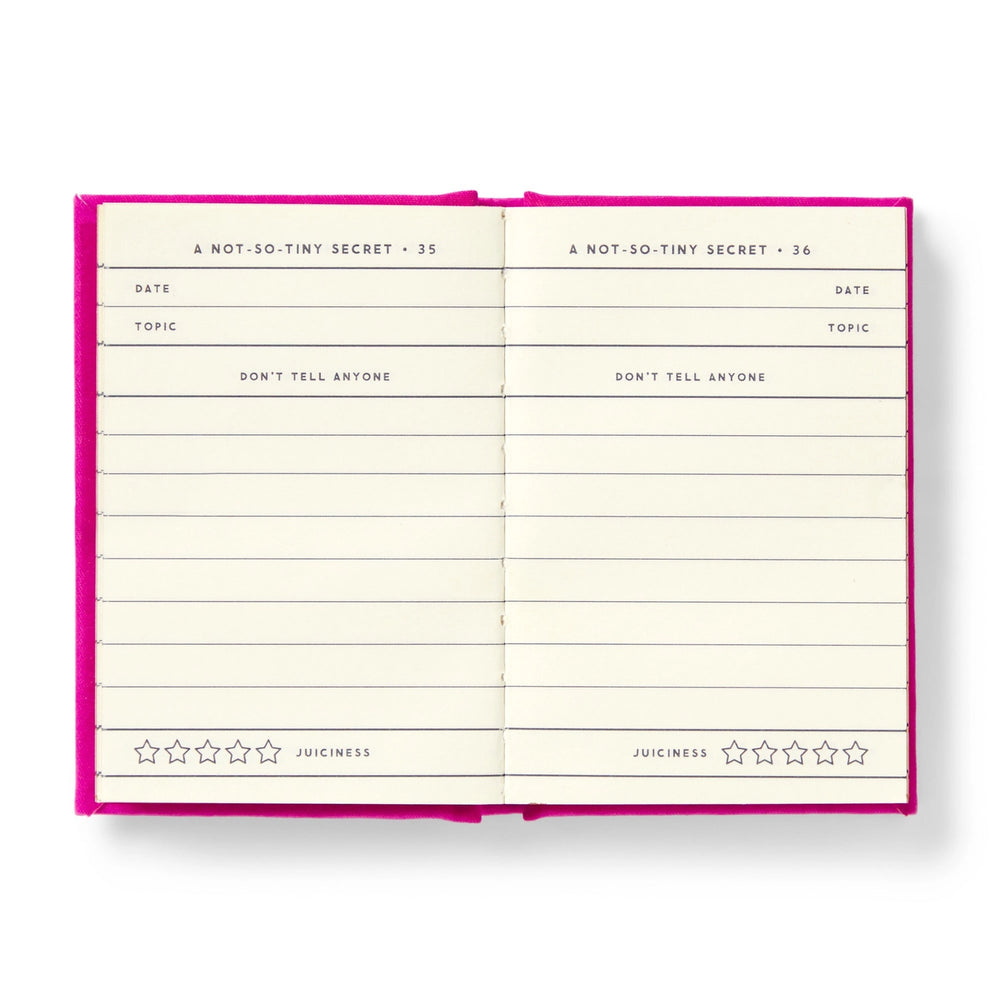 The interior pages of A Tiny Diary for Not So Tiny Secrets showing numbered entry spreads with fields for date, topic, don't tell anyone, and a five star juiciness rating scale.