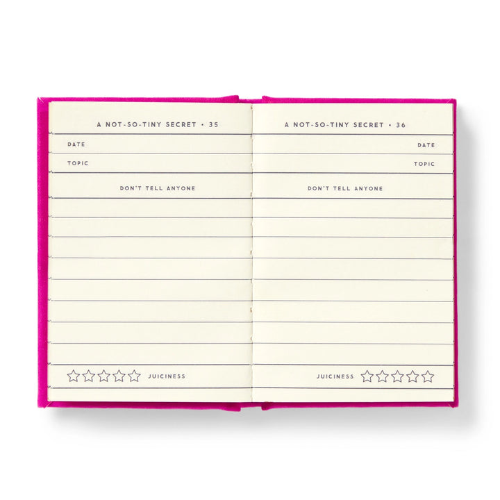 The interior pages of A Tiny Diary for Not So Tiny Secrets showing numbered entry spreads with fields for date, topic, don't tell anyone, and a five star juiciness rating scale.