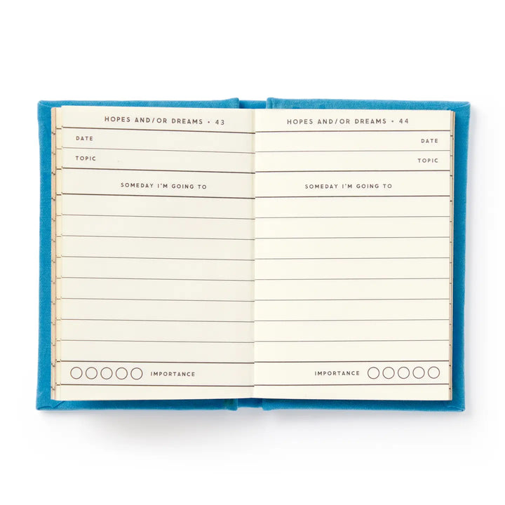 The interior pages of Tiny Hopes and Dreams showing numbered entry spreads with fields for date, topic, someday I am going to, and a bubble importance scale.