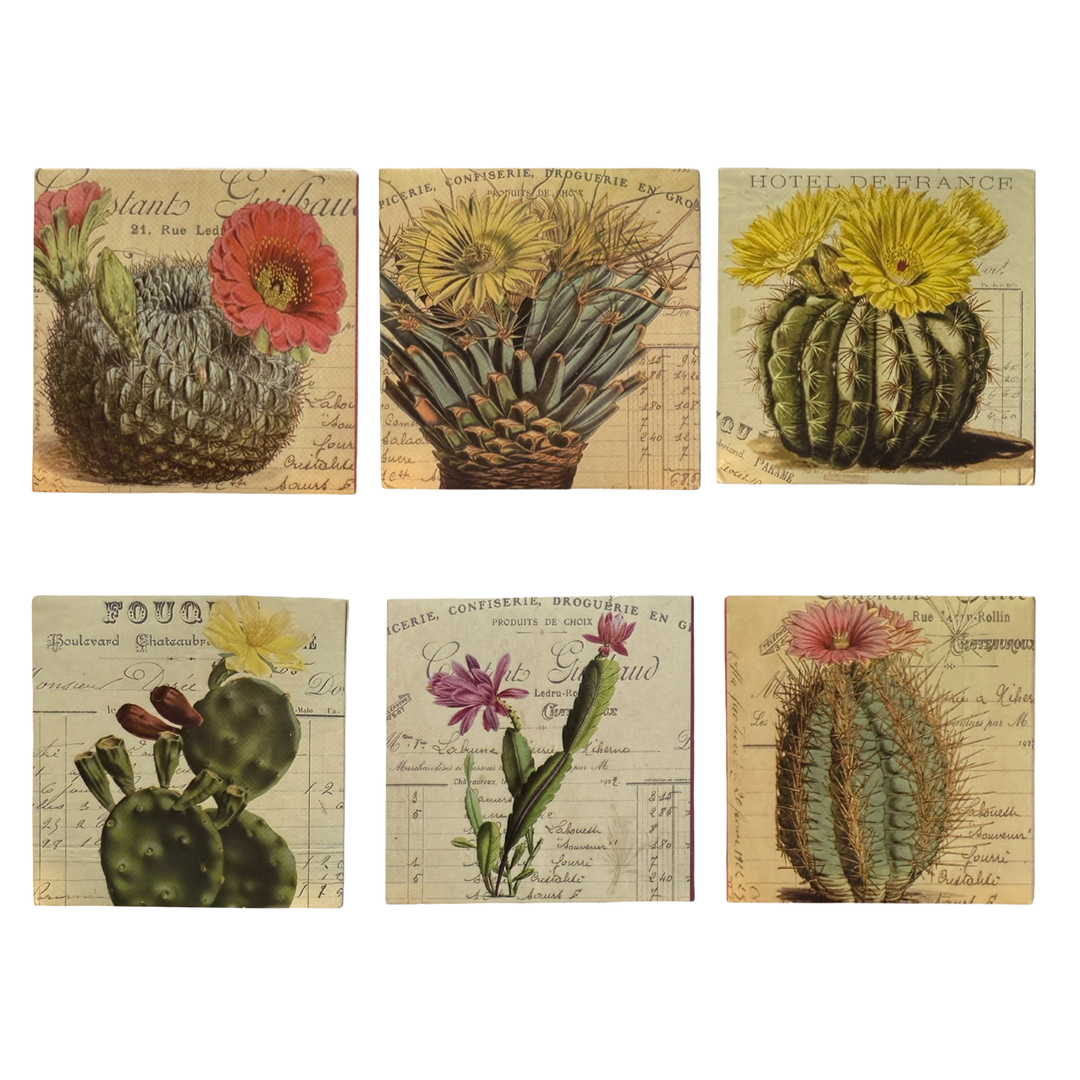 Six square matchboxes each feature a close-up of their own distinct type of cactus in the center topped with several blooming cactus flowers. The background of each matchbox features decorative antique script and text. 