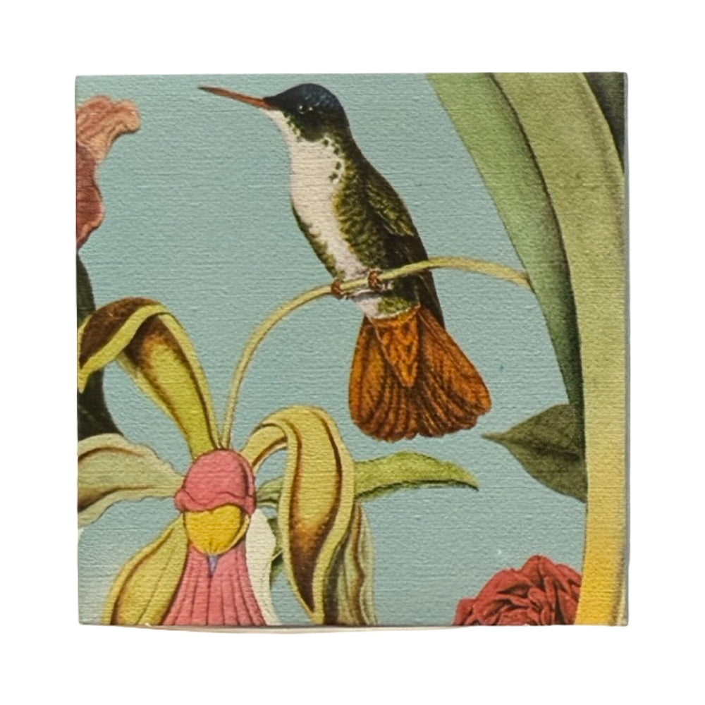 Light blue square matchbook featuring a single white and green hummingbird perched on a branch surrounded by green, yellow and pink flowers.