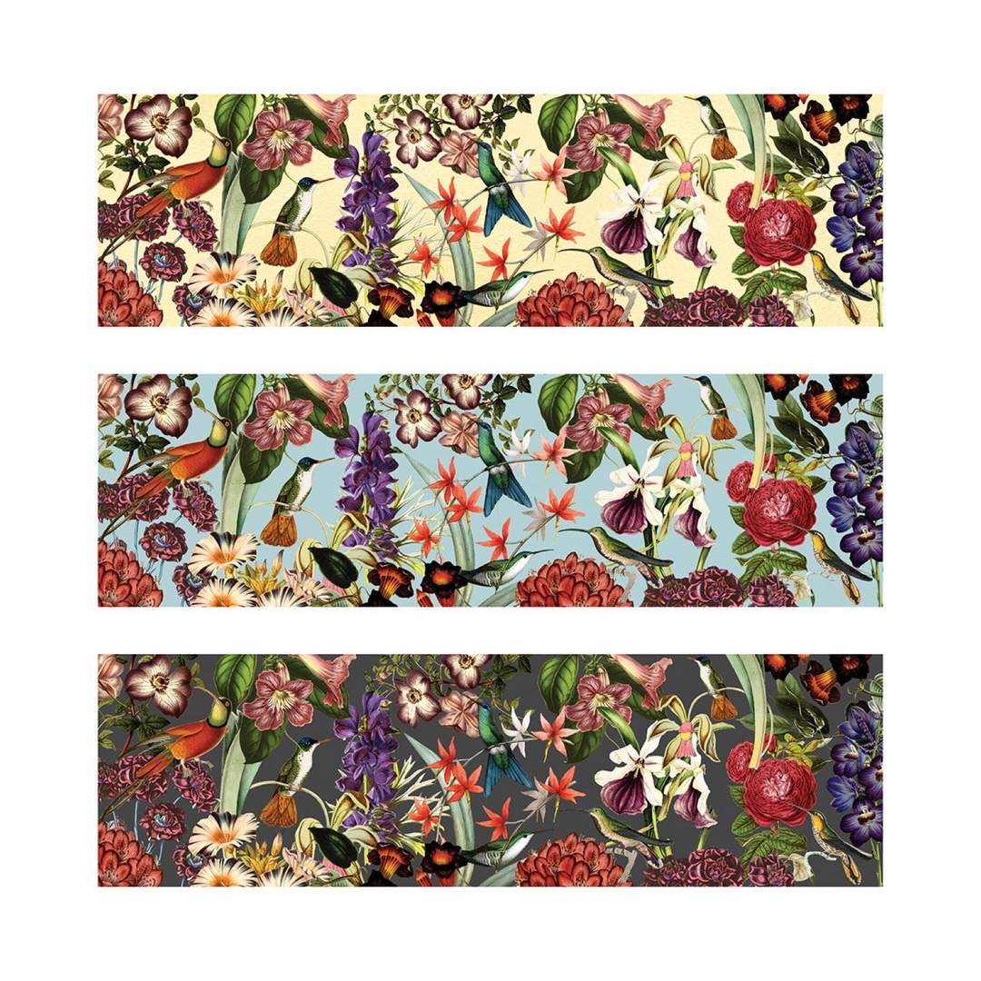 Three long match boxes shown with various hummingbirds fly and drinking nectar from surrounding flowers.