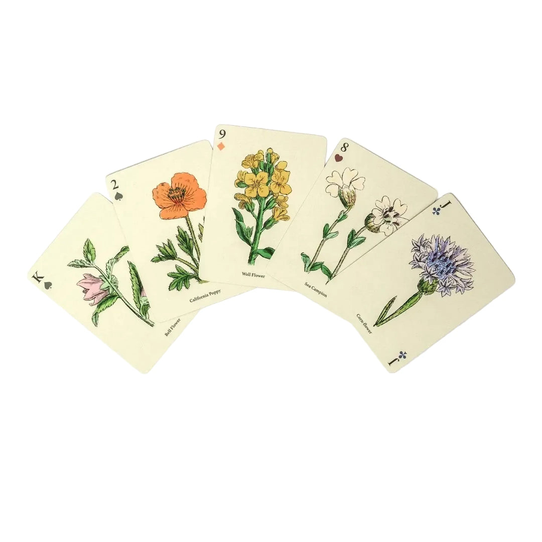 Five botanical playing cards from the Roomytown Wildflowers deck fanned out, each featuring a detailed illustration of a different wildflower including Ball Flower, California Poppy, Wall Flower, Sea Campion, and Cornflower, photographed against a white background.