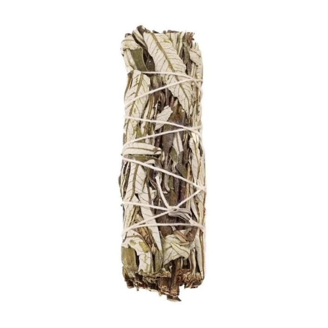 single bundle of yerba santa tied together with natural colored string.