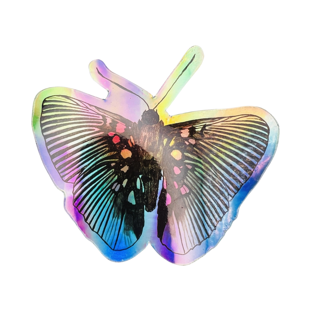 holographic sticker of a lyropteryx apollonia