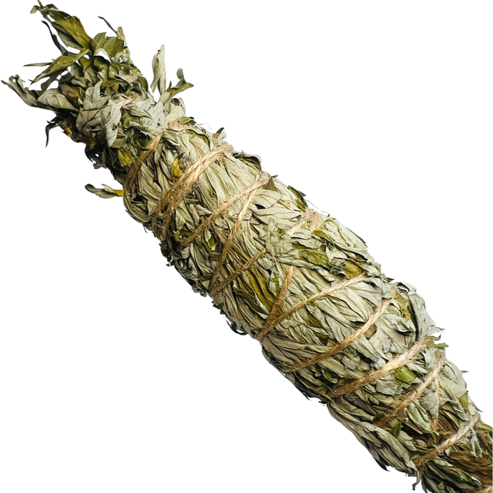 close up view of a bundle of wild mugwort and organic rosemary tied with twine