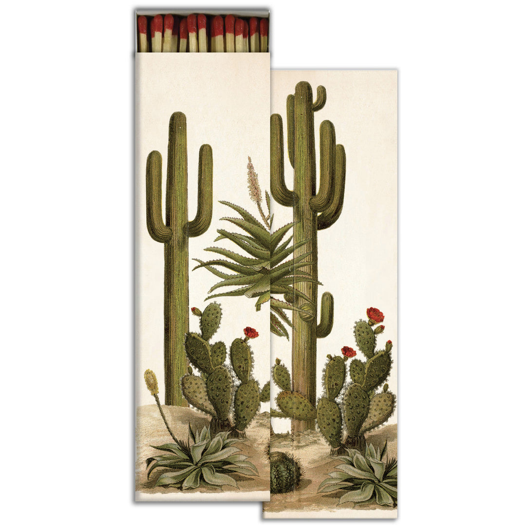 set of matches in a beige boxes with an image of various types of cacti. one box is opened with exposed matches.