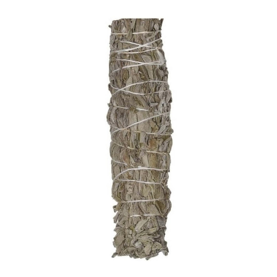 single bundle of sage tied with white twine